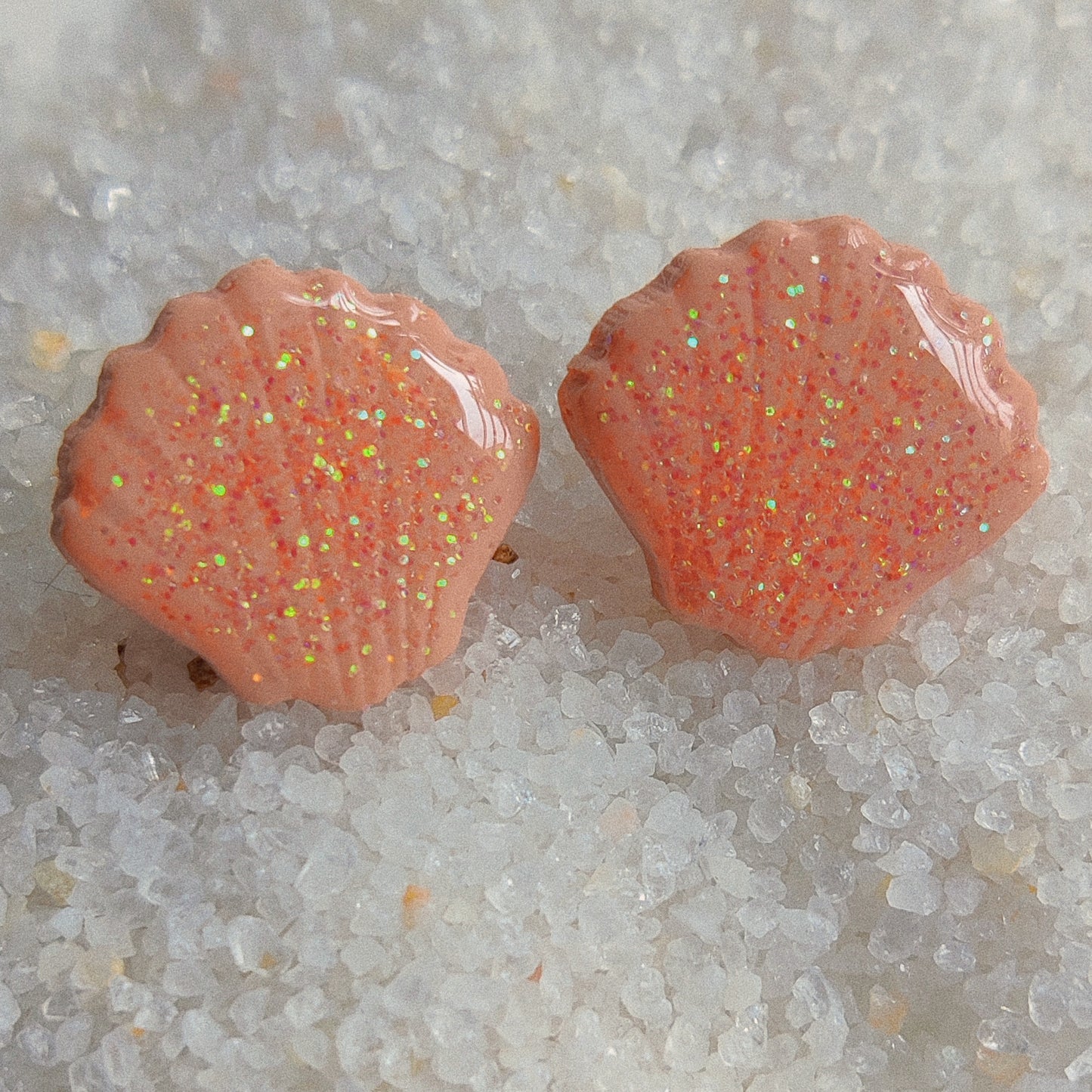 Seashell Studs