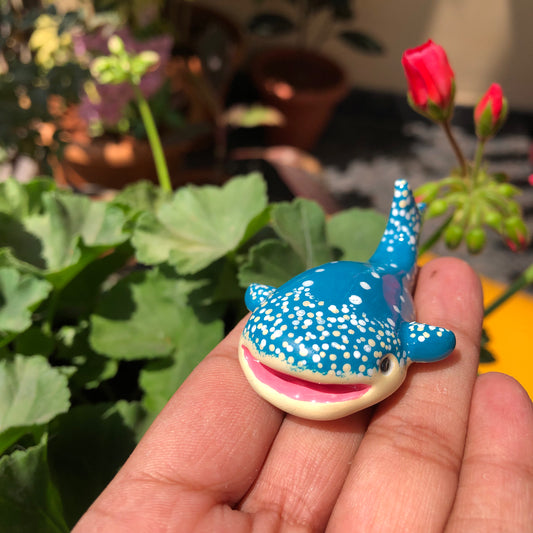 Happy Whale