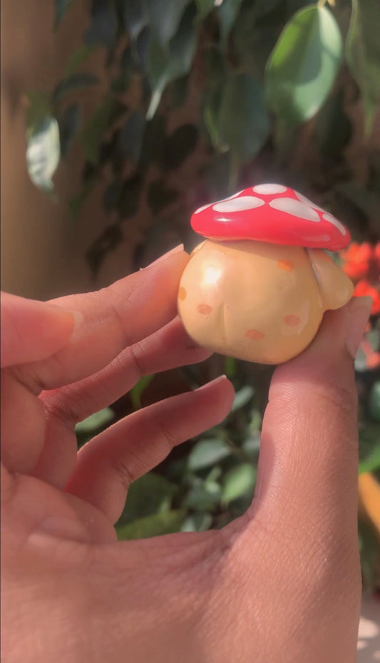 Mushroom Pal