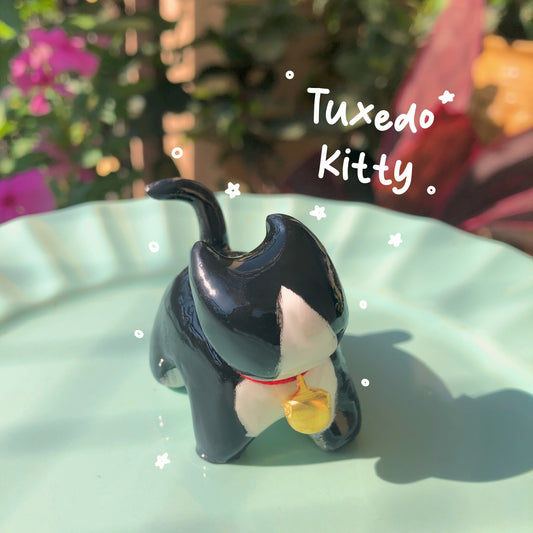 Tuxedo kitty