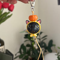 Black Pumpkin Kitty